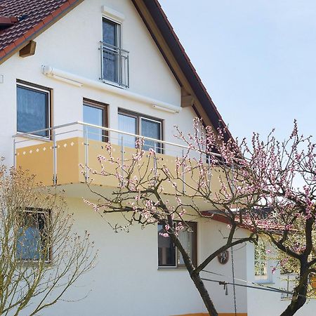 Enderle Apartman Uhldingen-Mühlhofen Kültér fotó
