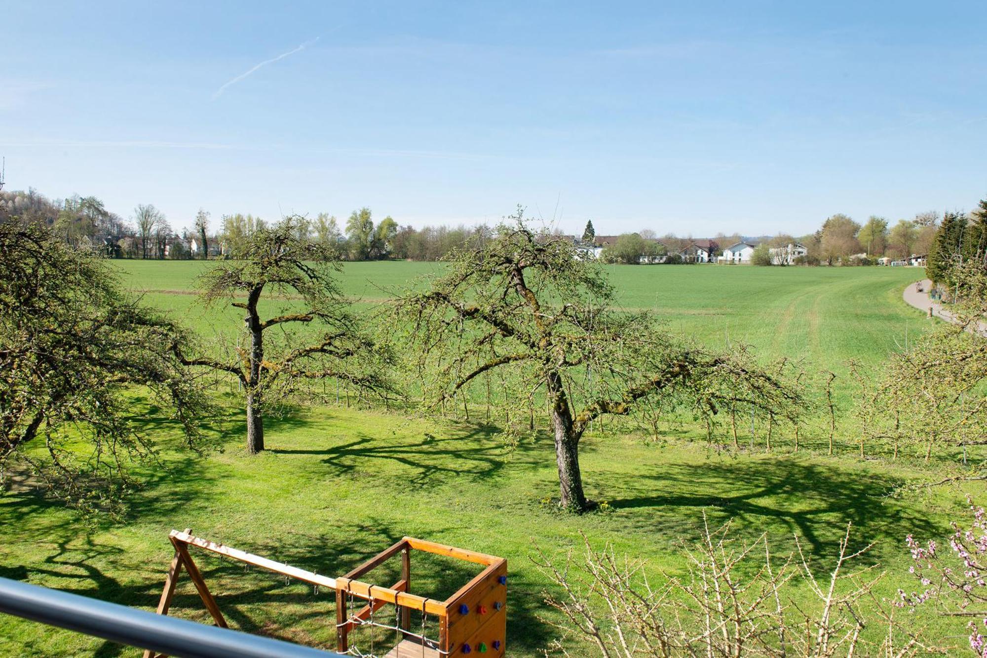 Enderle Apartman Uhldingen-Mühlhofen Kültér fotó